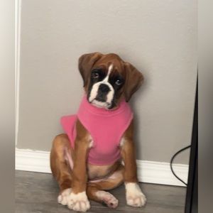 Gooby Stretch Fleece Size Large - Puppy is growing too fast!